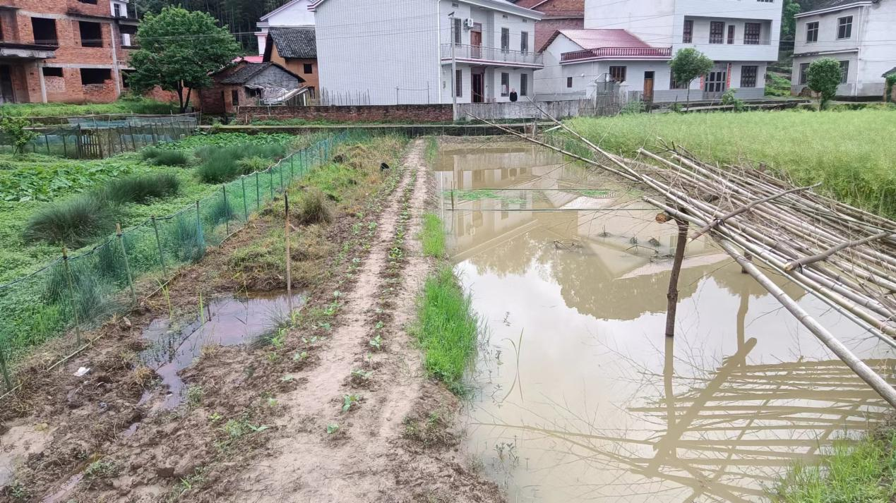 莲塘坳镇持续展开违建违占行为整治