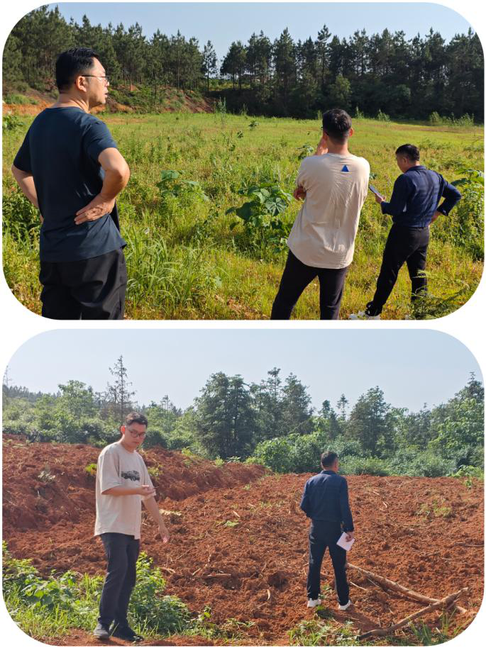 菜花坪镇：扎实开展耕地恢复落实 严守耕地红线