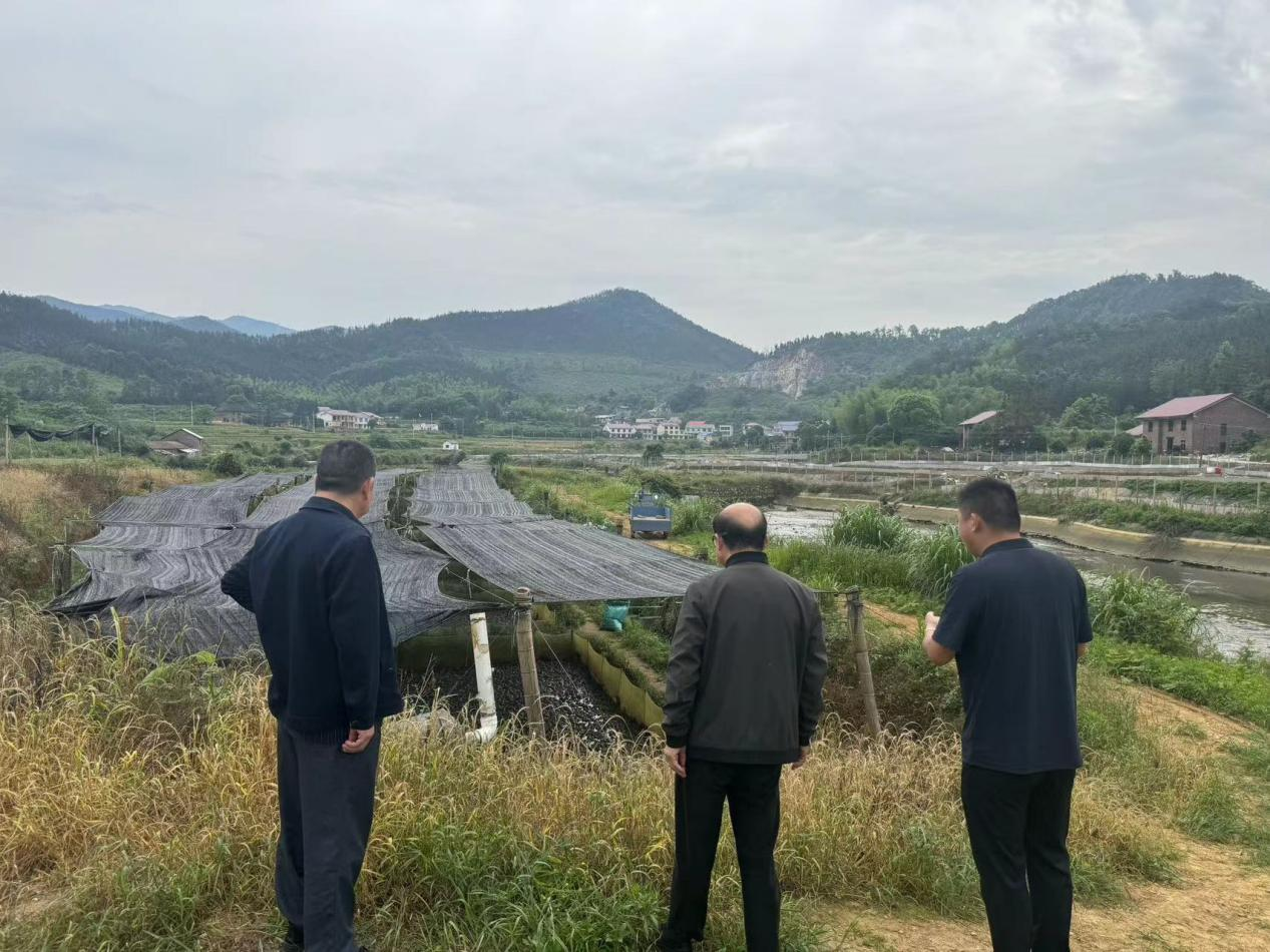 黄丰桥镇：扎实开展变更图斑核查工作