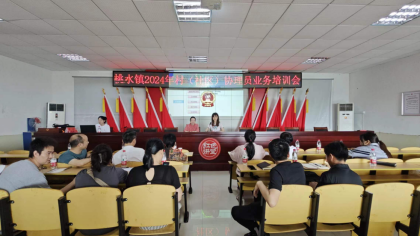 桃水镇：持续赋能 社保服务能力大提升
