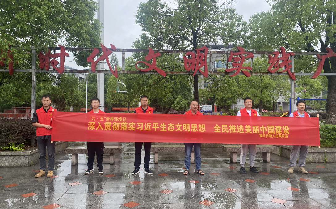 黄丰桥镇开展“世界环境日” 主题志愿服务活动