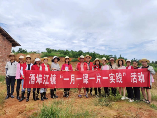 酒埠江镇：脐橙园里剪枝忙，年轻干部共成长