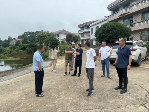 桃水镇：打造幸福屋场 助力乡村振兴