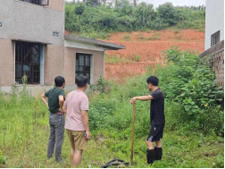酒埠江镇：全力守护耕地，保障粮食安全