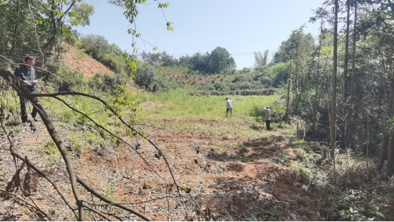 丫江桥镇：全力推进耕地恢复工作，筑牢耕地保护红线