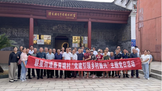 联星街道泰青塘村：强化党建引领，赋能乡村振兴