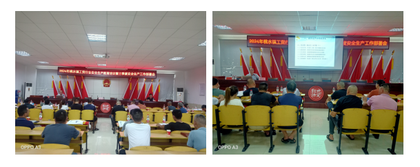 桃水镇：夯实安全生产基础 保障企业高质量发展