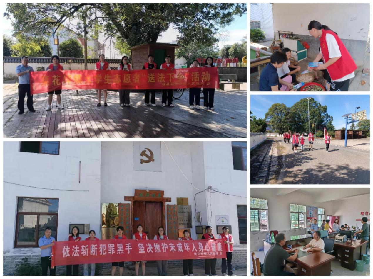 菜花坪镇：大学生“送法下乡” 共赴“法治之约”