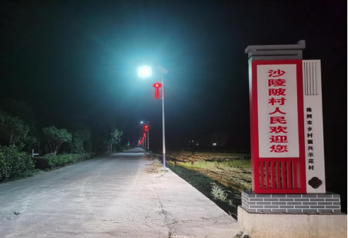 联星街道沙陵陂村：党建引领促服务，亮化工程暖民心