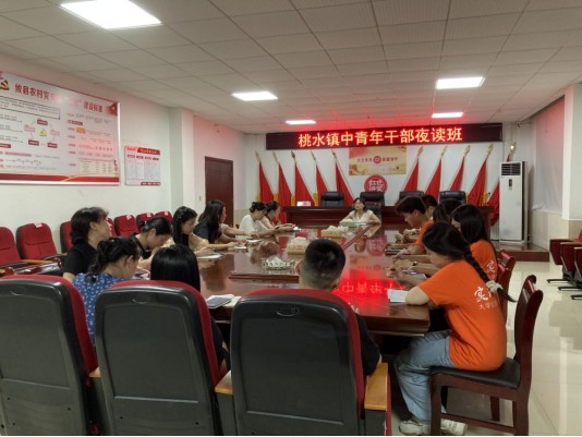 激发青春力量 助推青年干部成长--桃水镇开展中青年干部夜读班