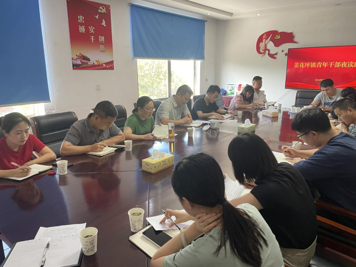 菜花坪镇青年干部夜读班深入学习党的二十届三中全会精神