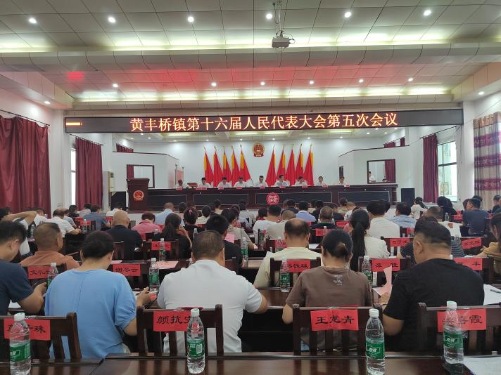 黄丰桥镇召开第十六届人民代表大会第五次会议