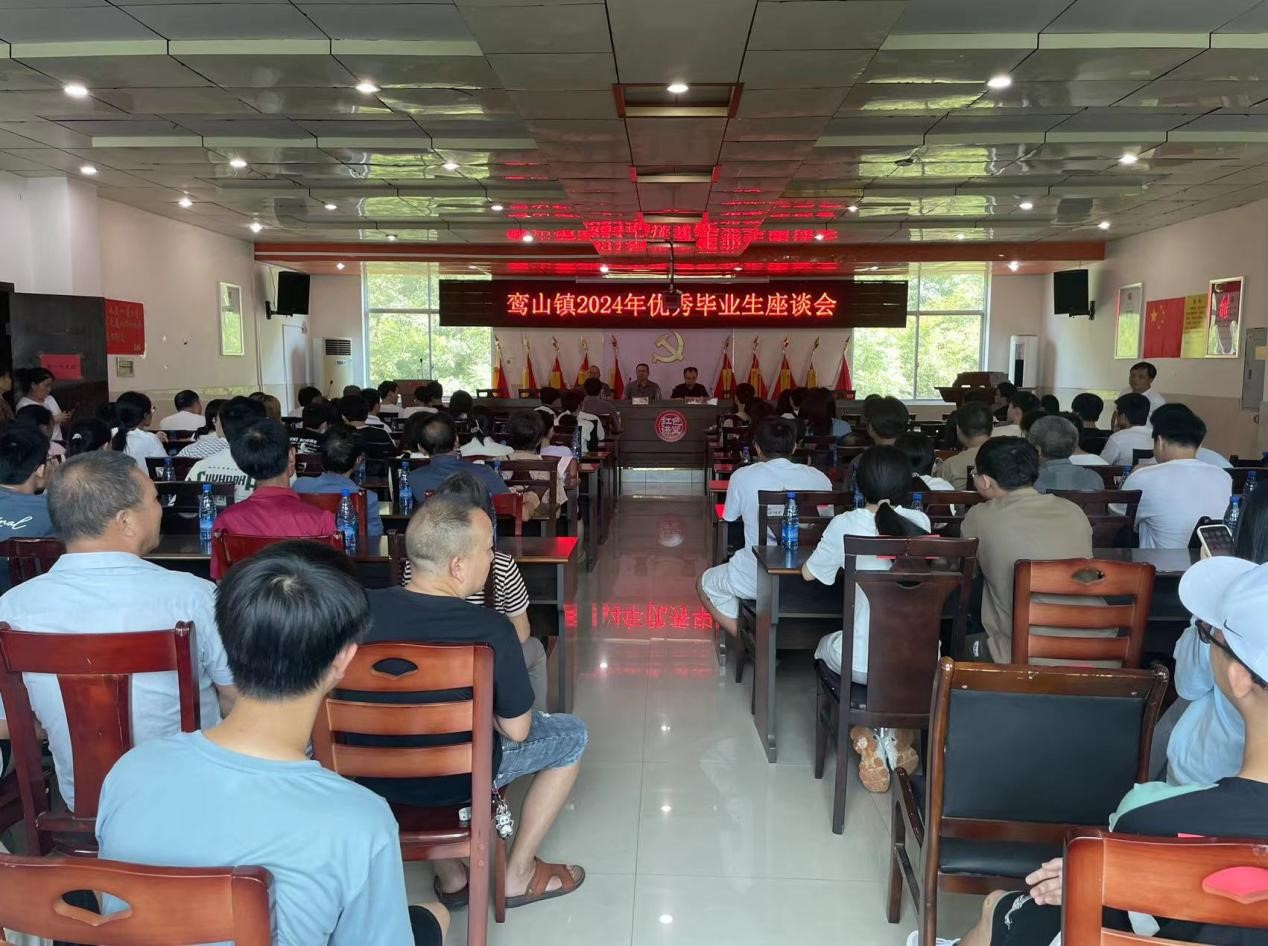 情系家乡，筑梦未来——鸾山镇召开2024年优秀毕业生座谈会