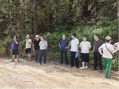 桃水镇：严查私挖乱采 保护自然资源