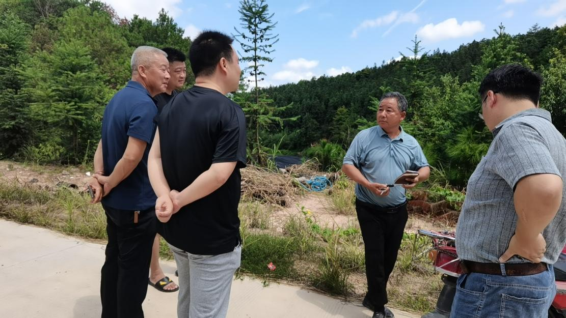 丫江桥镇持续开展图斑核实整改工作