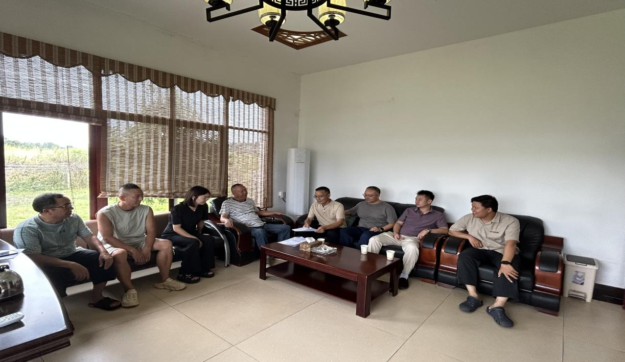 “两重”“两新”送解优，政策上门助企成长