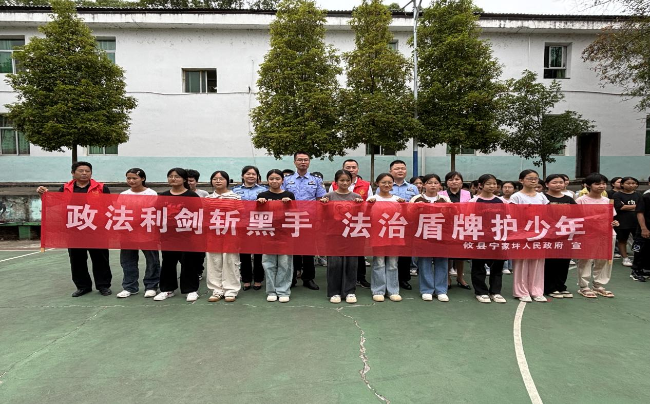 多彩青春·与法同行 ——宁家坪镇开展青少年法治宣传教育周活动