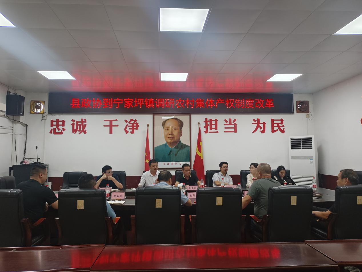 县政协到宁家坪镇开展农村集体产权制度改革调研
