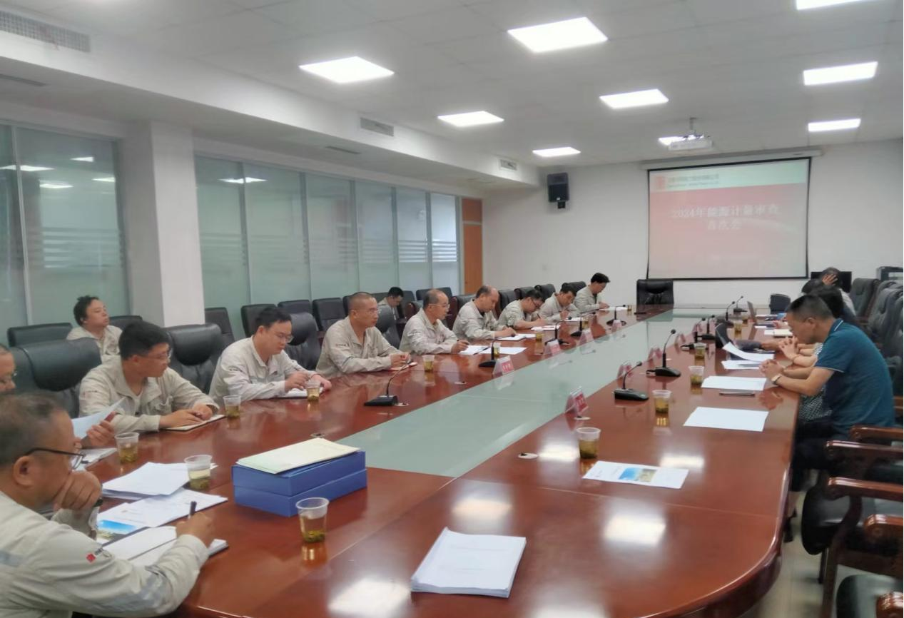 “节”尽所能，助力美丽攸州——攸县市监局开展能源计量审查工作