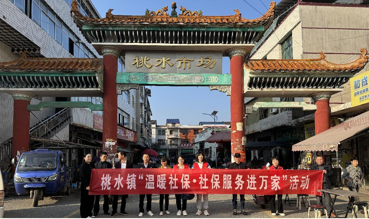 桃水镇开展“温暖社保·社保服务进万家”政策宣传活动