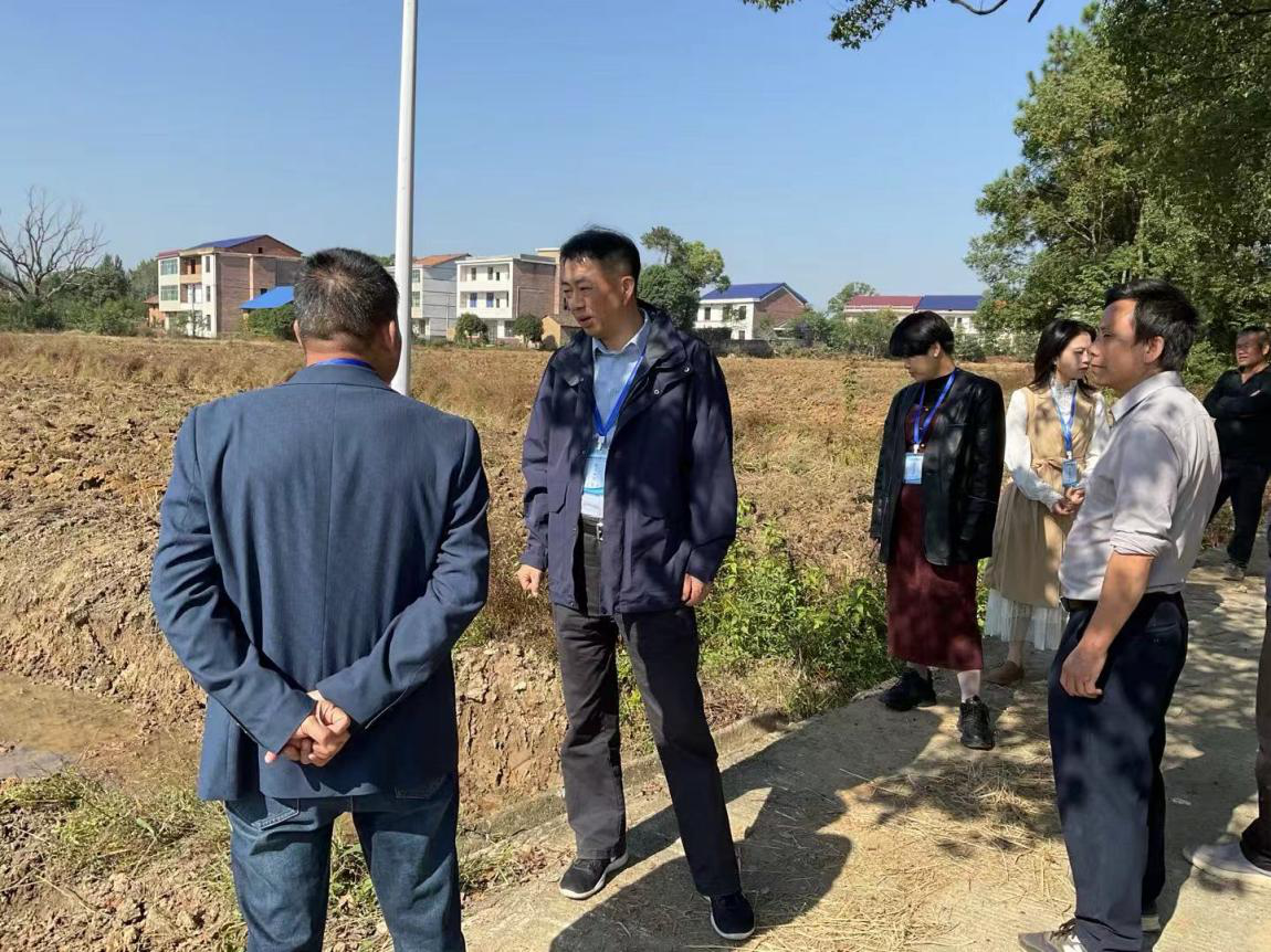 菜花坪镇：助力“粮田”变“良田”   同走“共富稻路”