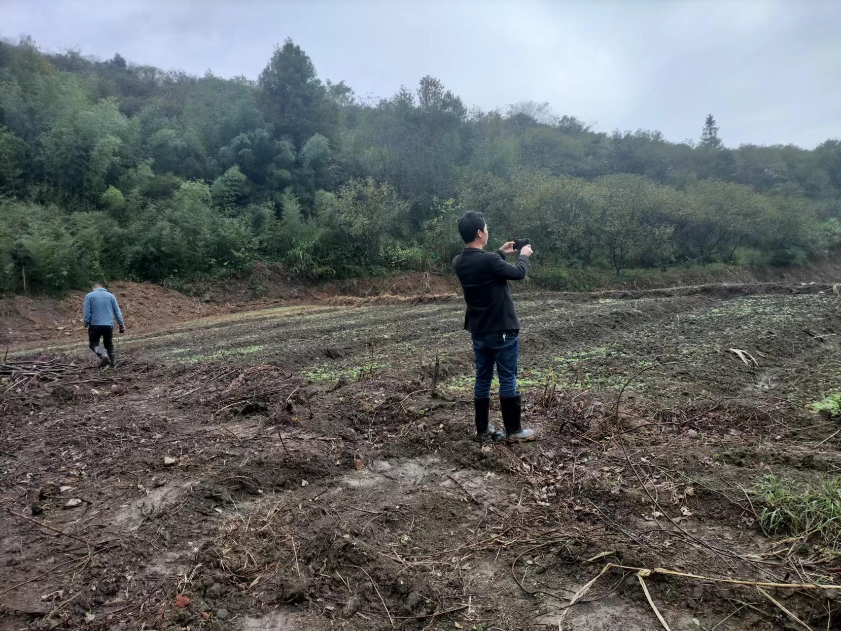黄丰桥镇：双向齐发力 “荒地”变“良田”