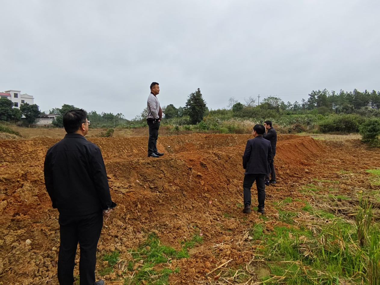 菜花坪镇：严守耕地红线，守护粮食安全根基