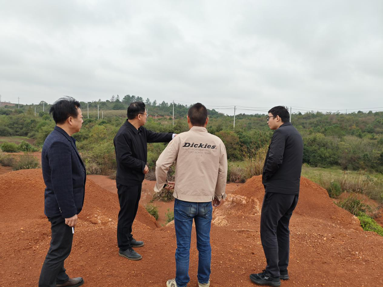 菜花坪镇：扎实推进违法用地图斑整改工作