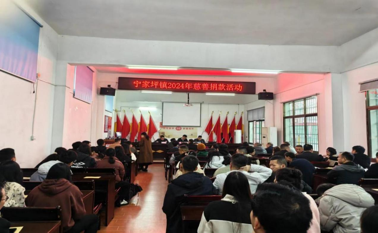 宁家坪镇：情暖人心，慈善同行
