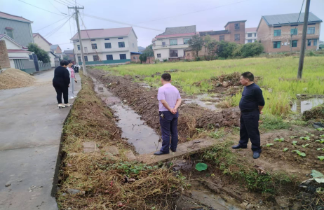 联星街道圳江村：扎实推进项目建设，打造乡村生态新画卷
