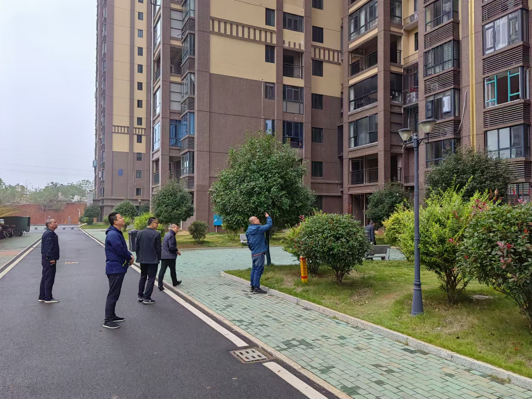 江桥街道：加强日常巡查 坚决拆除违建