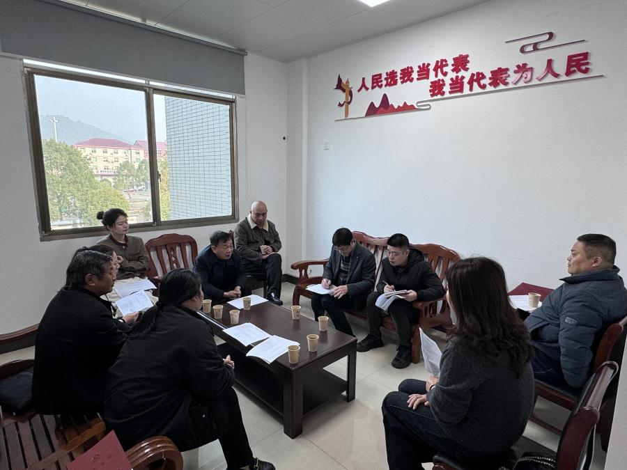 进站履职 回应关切——黄丰桥镇开展人大代表进站履职活动