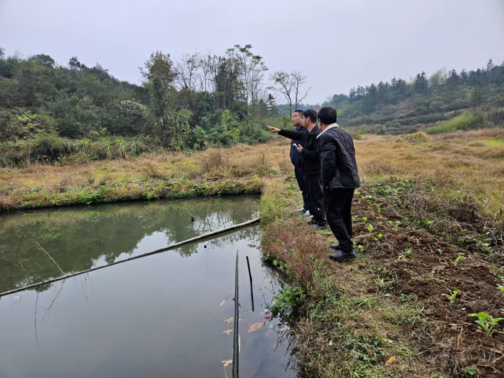 桃水镇：锚定目标，扎实推进耕地恢复