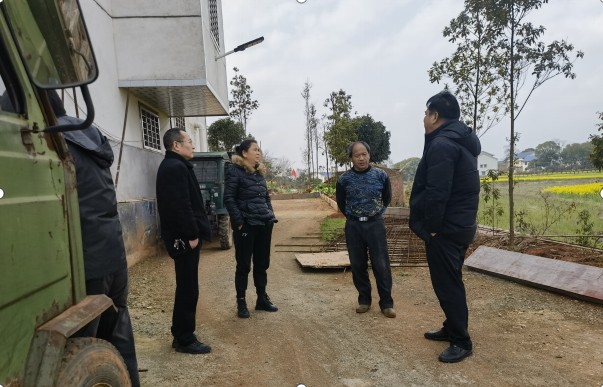 石羊塘镇违建巡查常态化、拆违控违不松懈