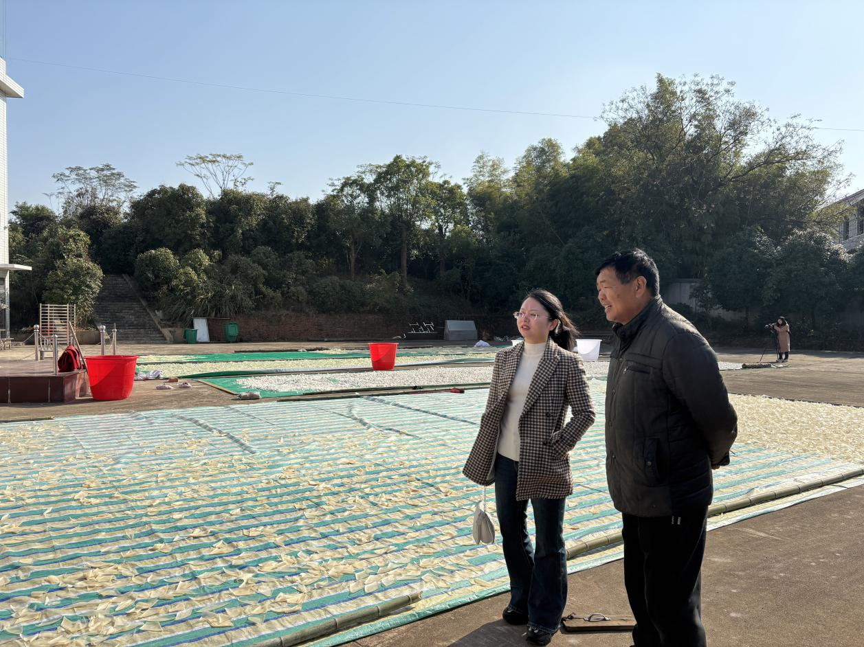 桃水镇：政企凝心谋发展 聚力共建致富桥
