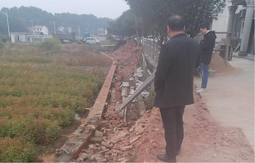 网岭镇：多措并举全面推进图斑整改