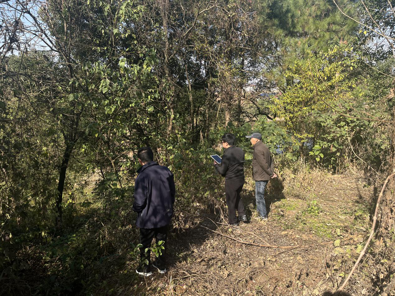 春联街道：落实耕地保护责任，推进图斑核查整治工作
