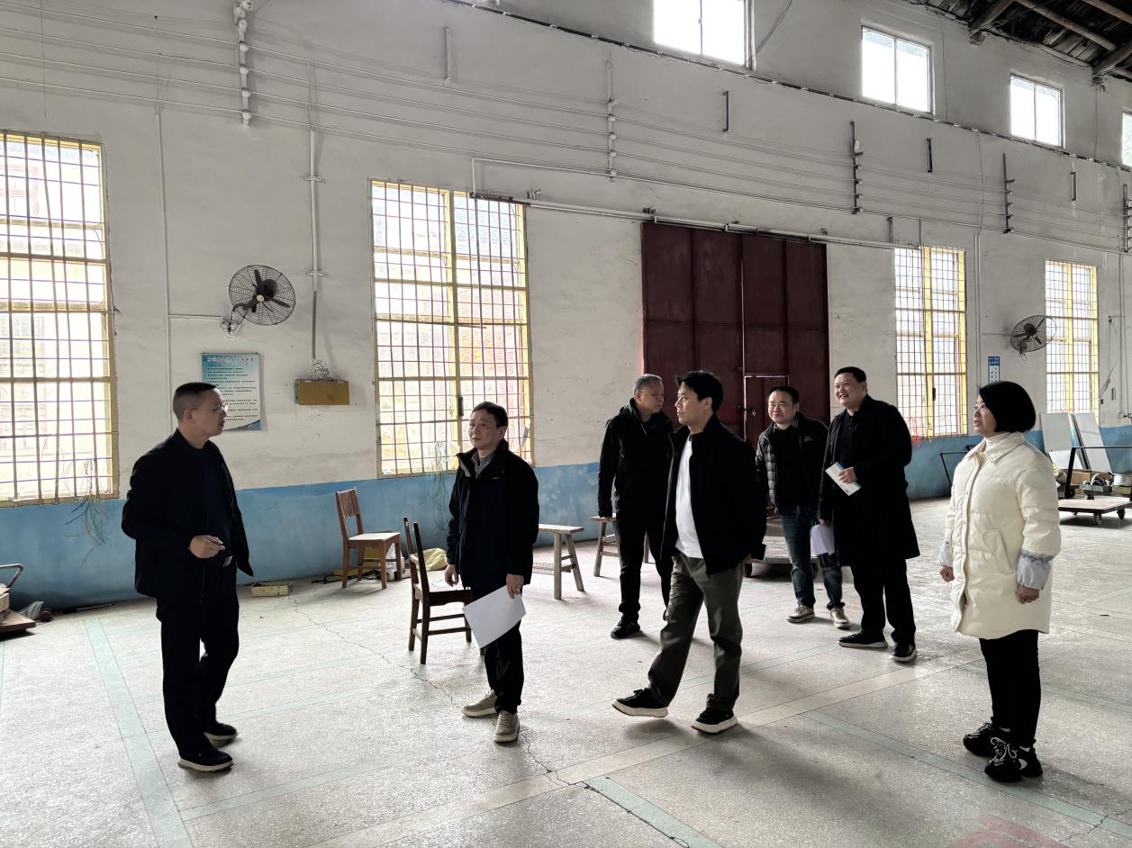 桃水镇：筑牢安全生产防线，护航营商环境建设