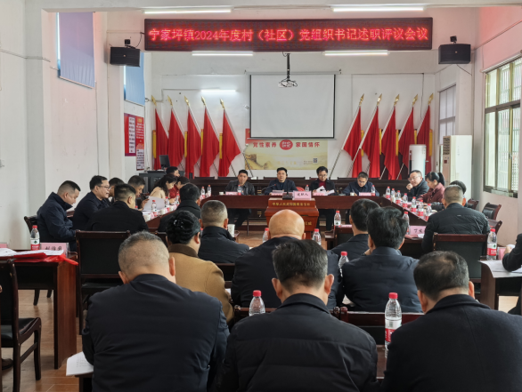宁家坪镇：以“述”亮绩，以“评”促干