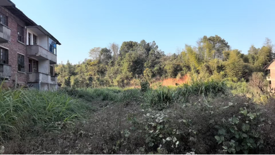 酒埠江镇：推进耕地恢复，加强耕地流出图斑整治