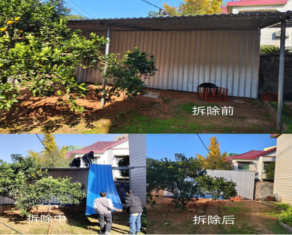 联星街道：持续开展巡查监督工作 保持社容社貌整洁