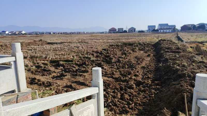 新市镇：依法整治“两违”，守护城乡建设新秩序