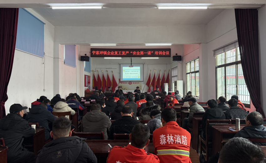 把安全挺在前面  把责任牢记心中——宁家坪镇召开企业复工复产“安全第一课”培训会议