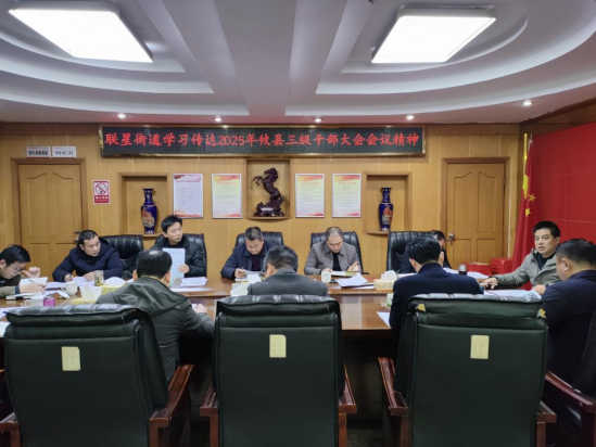 联星街道传达学习2025年攸县三级干部大会会议精神