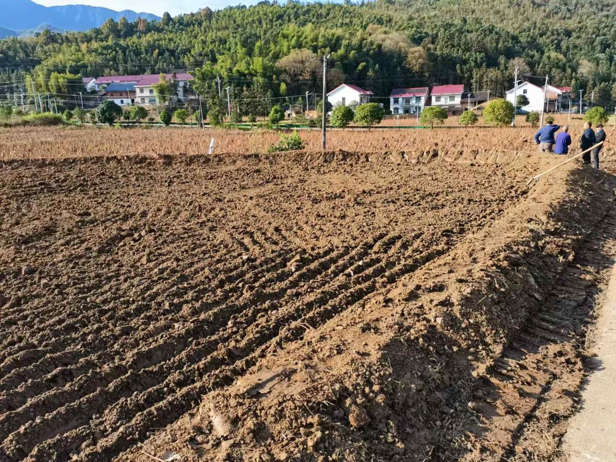 鸾山镇：坚守耕地，积极推进耕地恢复工作