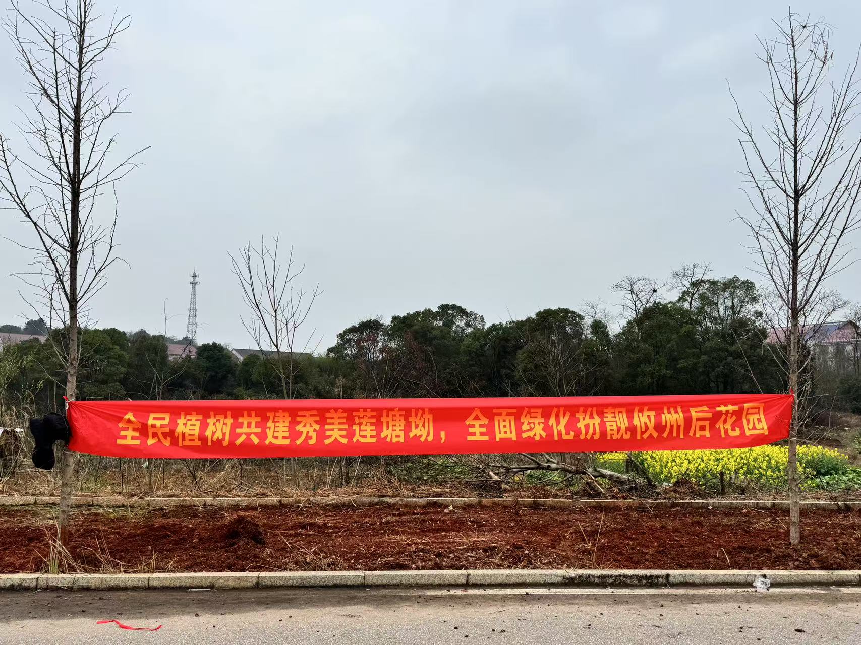 【3.12植树节】全民植树共建秀美莲塘坳，全面绿化扮靓攸州后花园——莲塘坳镇开展义务植树活动