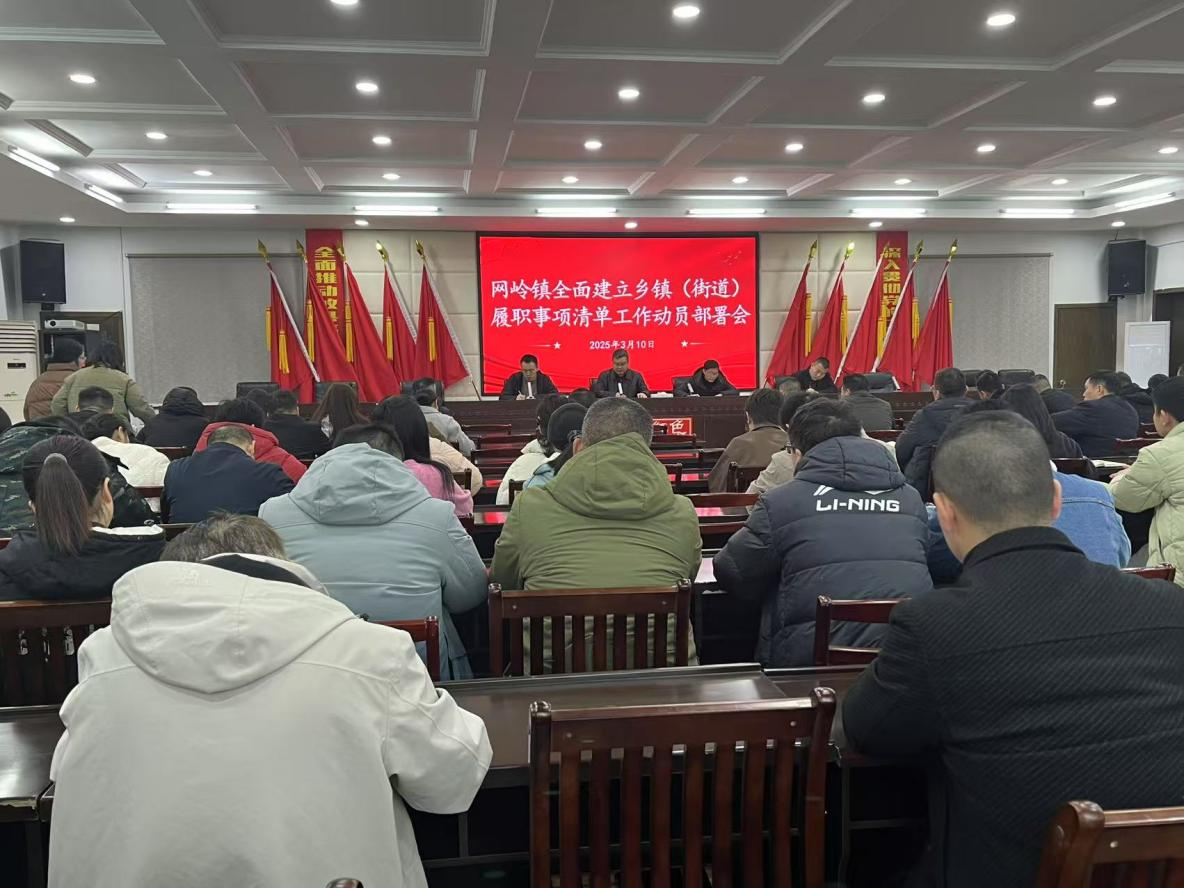 履职新篇 实干启幕：网岭镇召开事项清单动员会