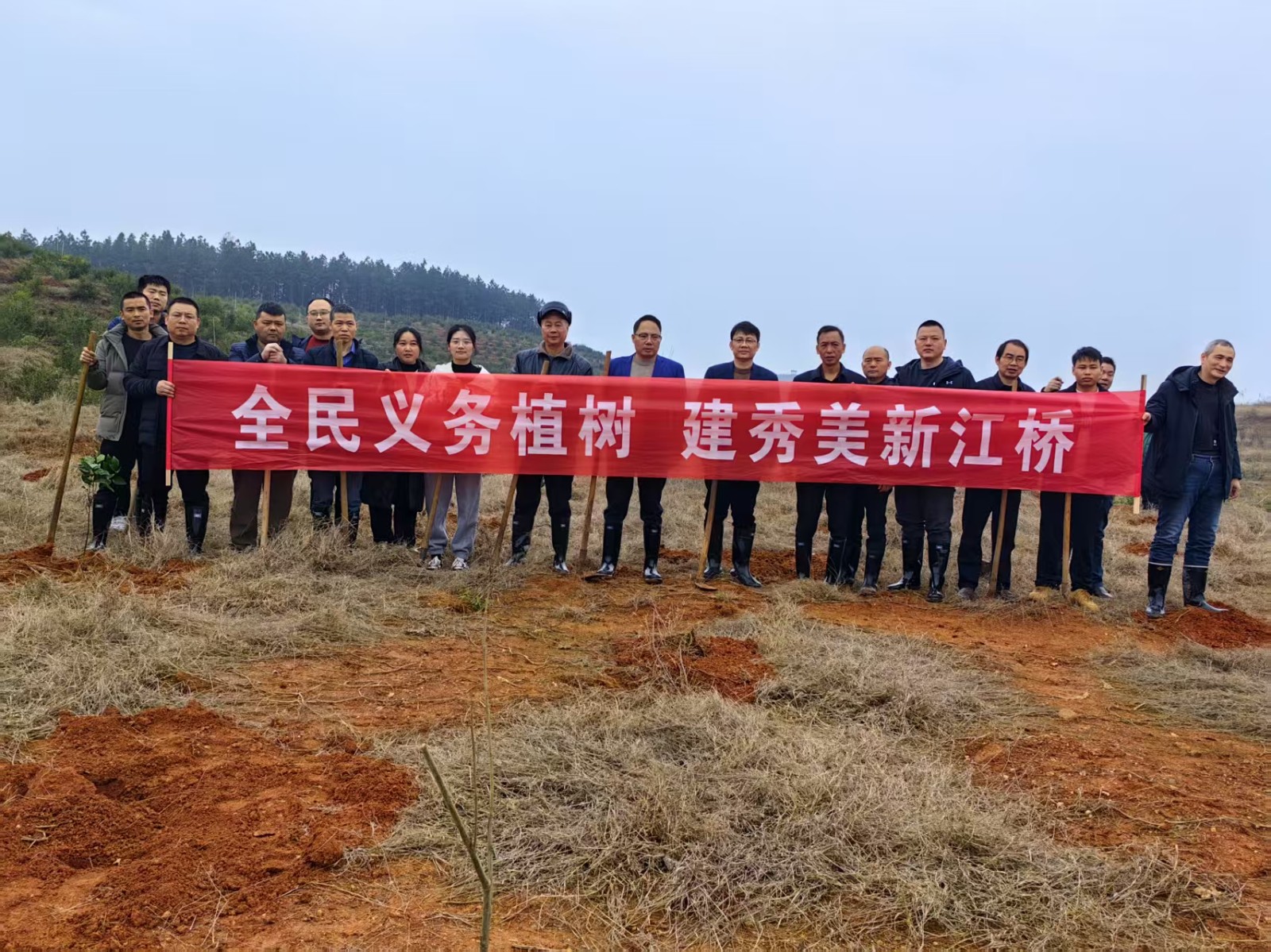 江桥街道：全民义务植树 建秀美新江桥