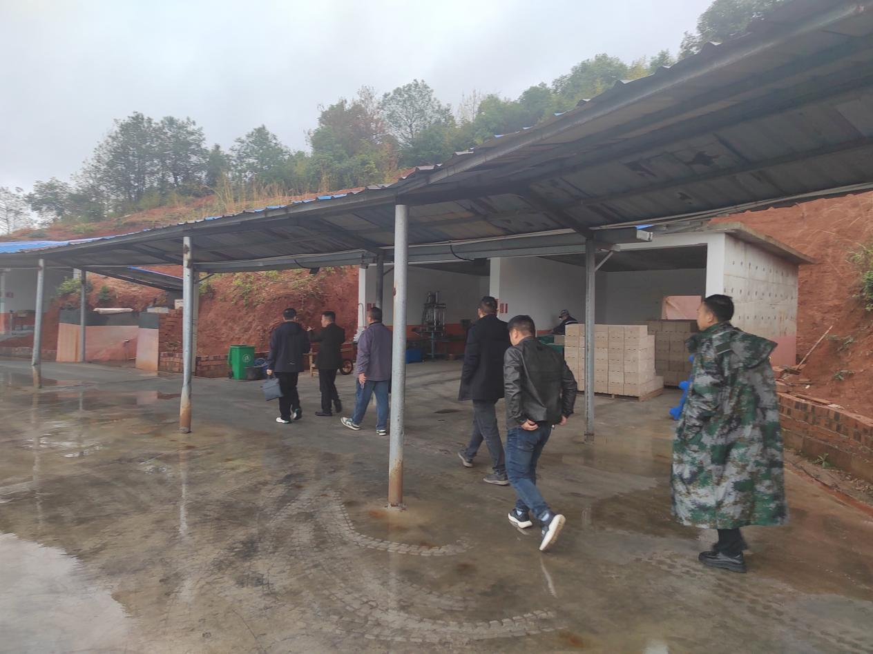 网岭镇：联企大走访，助力企业高质量发展
