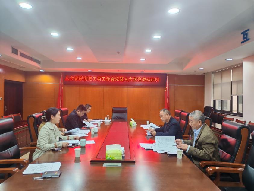 履职尽责，担当作为——春联街道组织县人大代表开展重点项目建设视察活动